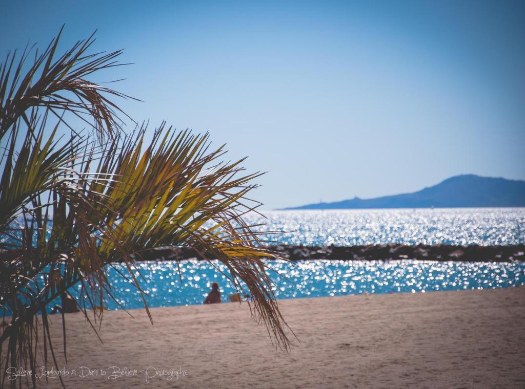 Mar I Sol Logis Hotel Saint-Cyprien  Bagian luar foto